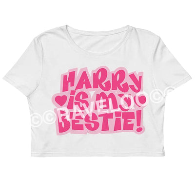Harry is my bestie Cropped T-Shirt, Harry is my bestie Crop Top, crop top, y2k aesthetic, y2k clothes, y2k aesthetic top, collared shir